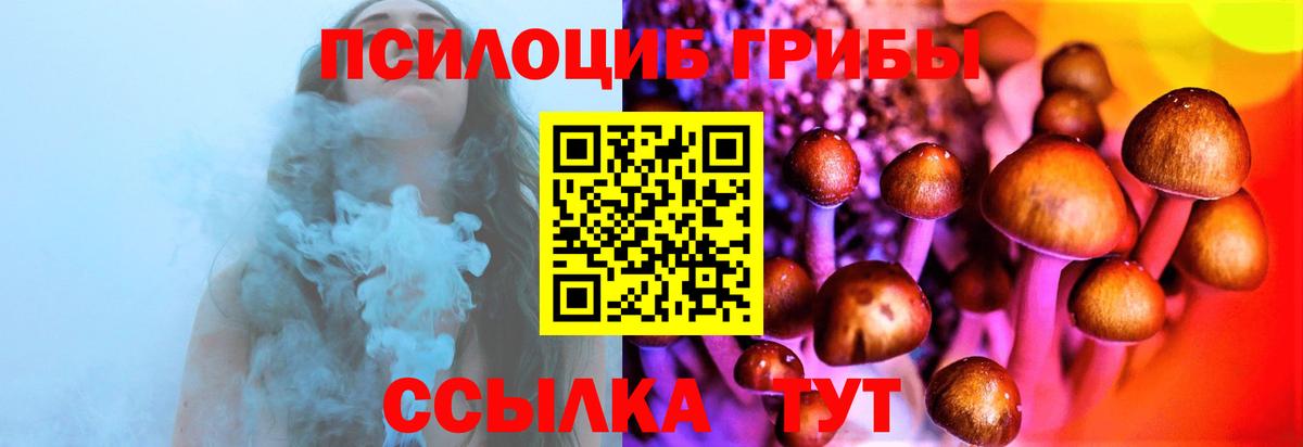 Зеленогорск  Галлюциногенные грибы GOLDEN TEACHER  Вход с VPN  Галлюциногенные грибы Psilocybe 